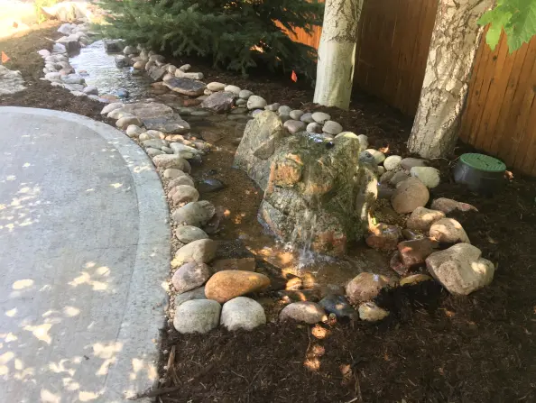 bubbling rock into disappearing stream