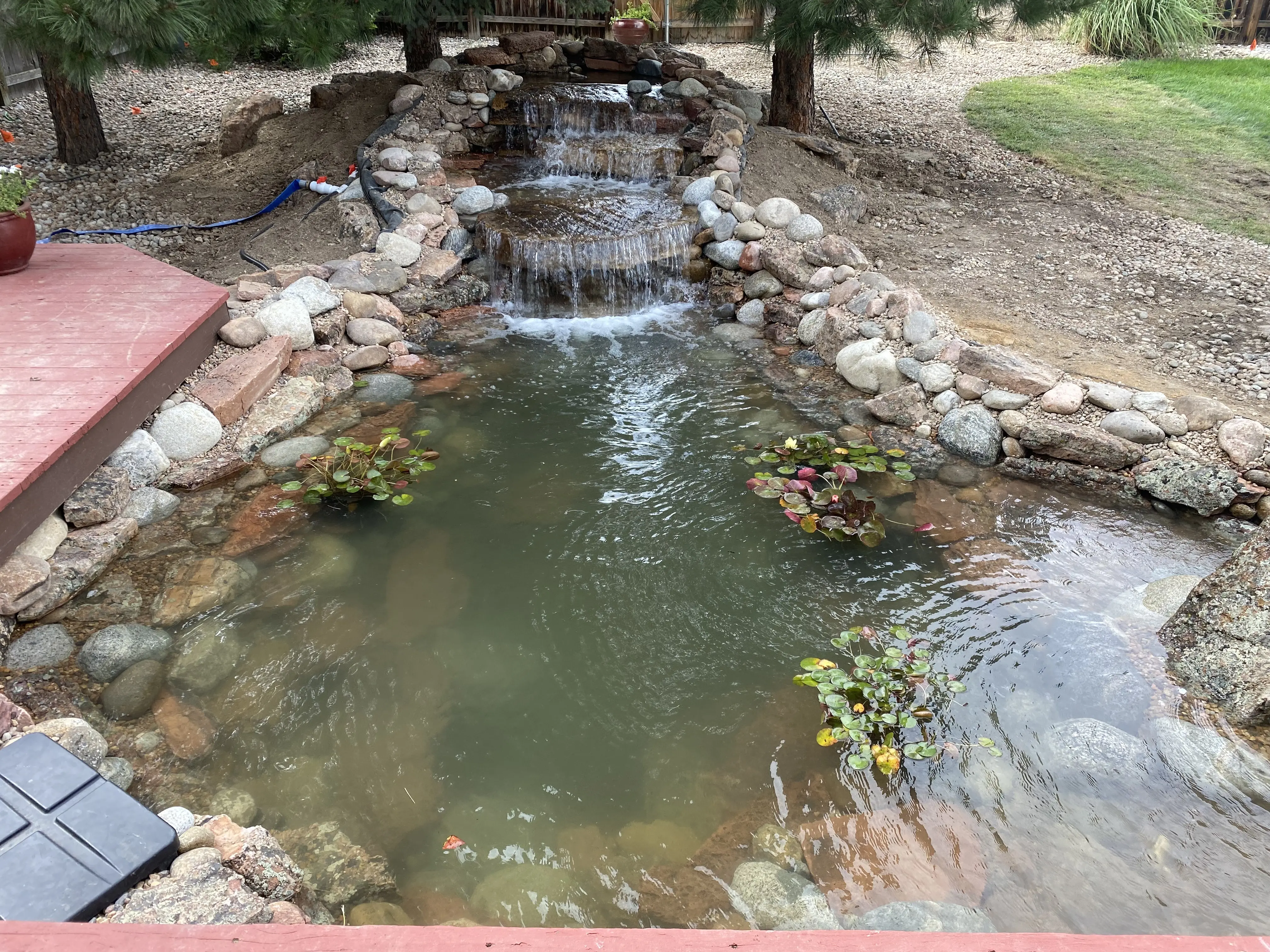 koi pond full view on edge of deck