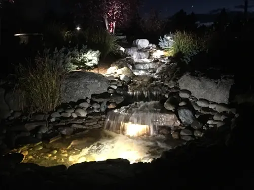 koi pond at night with lighting