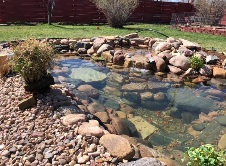 client photo koi pond